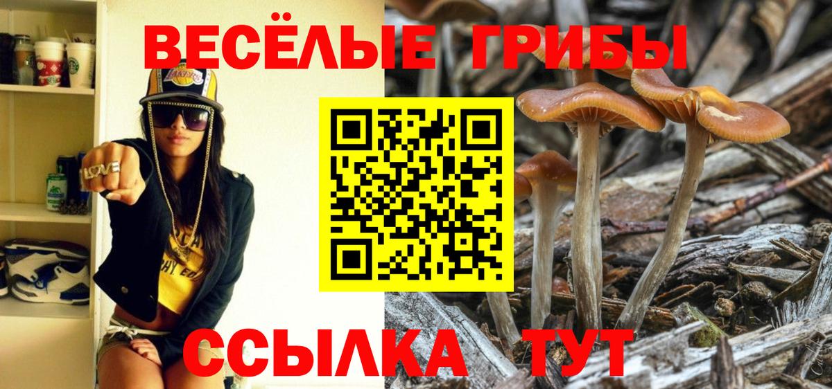 Галлюциногенные грибы ЛСД  Вход с VPN  Павлово 