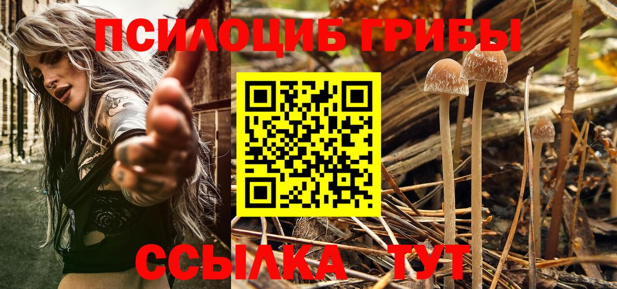 Галлюциногенные грибы ЛСД Павлово